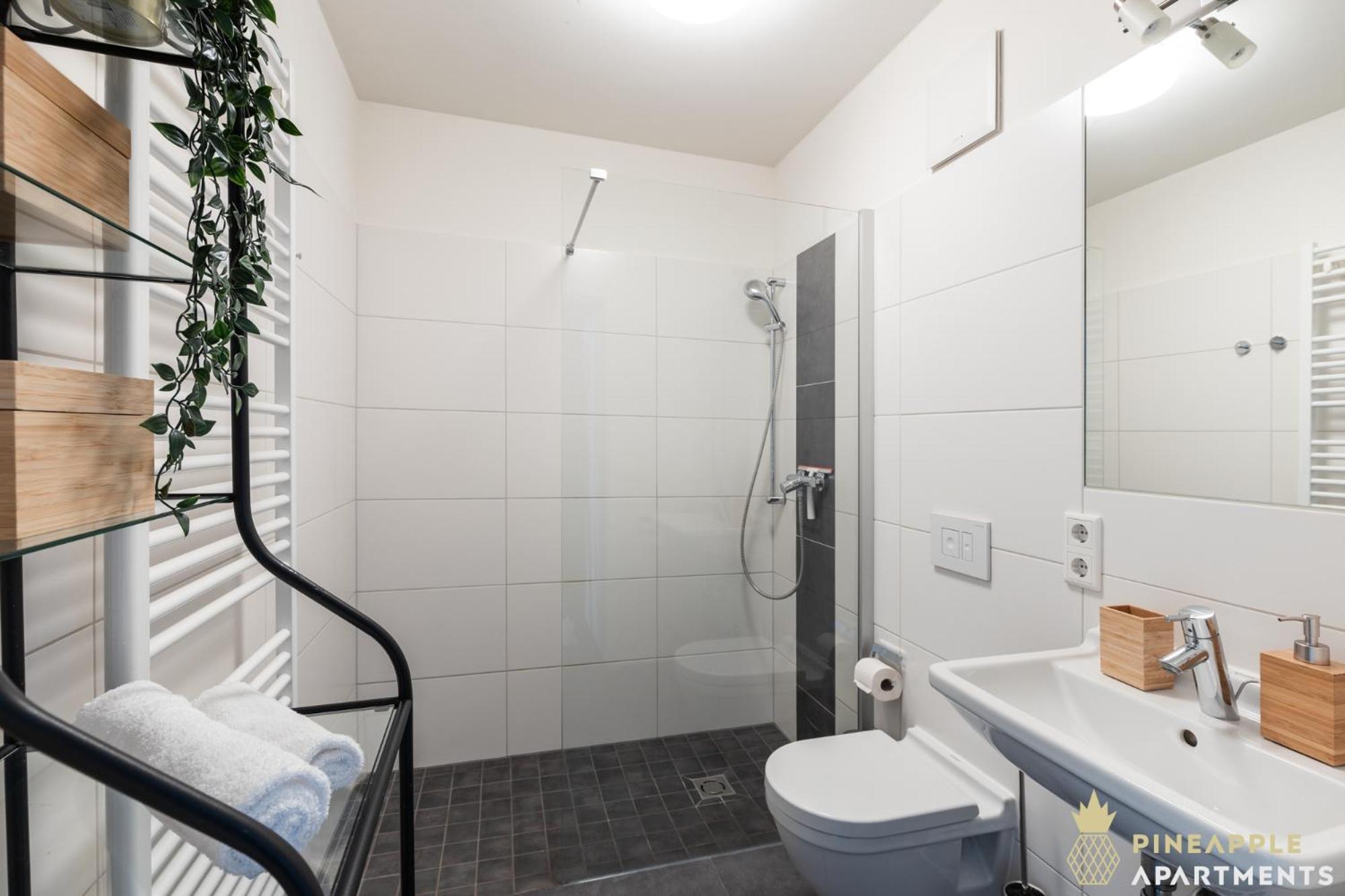 Pineapple Apartments Studio-Apartment Am Zwinger Дрезден Екстер'єр фото